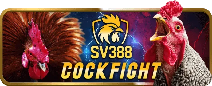 Cam kết dịch vụ khách hàng 3333win đăng nhập